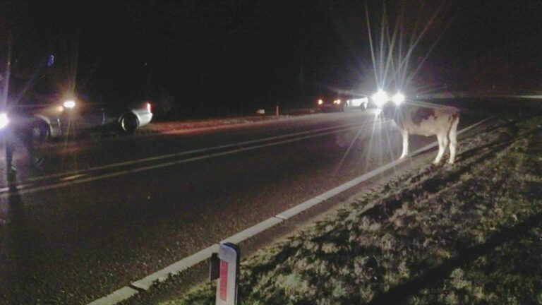 Opmerkelijke aanrijding op Deurneseweg