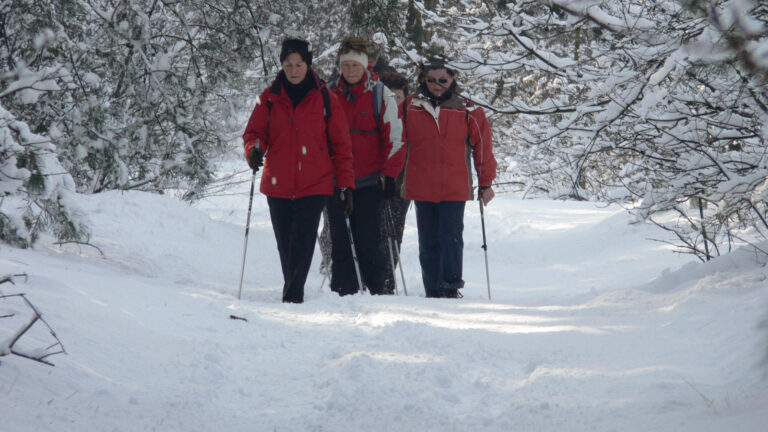 Winterwandeltocht AV LGD