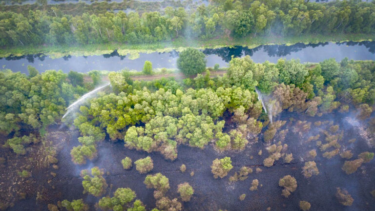 Gebied Deurnese Peel wordt steeds groener, maar brand is nog niet uit