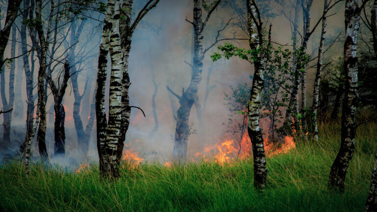 Nablussen brand Mariapeel nog steeds in volle gang