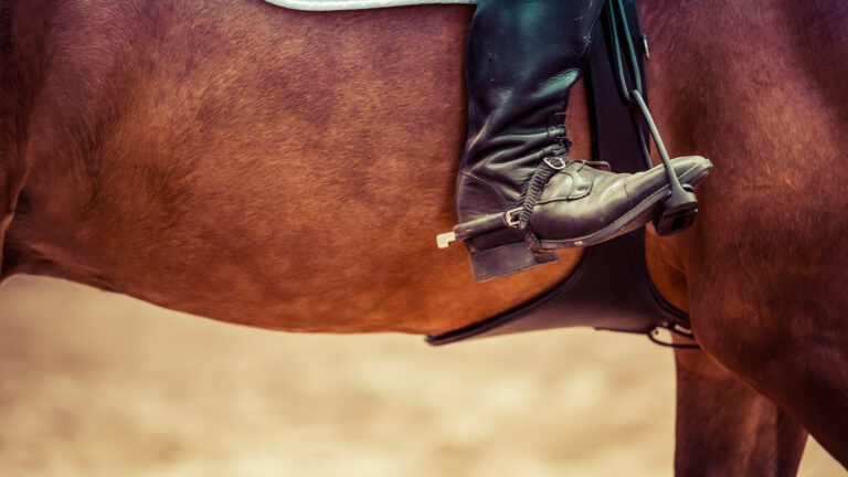 Alisha Walraven en Myrne Lutters Brabants kampioen paardrijden