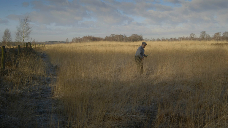 Open lucht filmvertoning Helenaveen