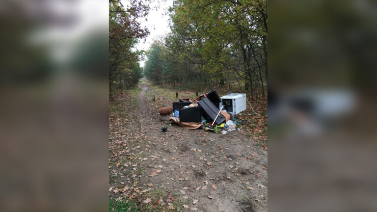 Dumping huisraad Vlierdens bos