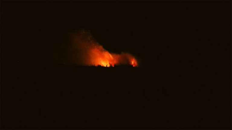 Brand snoeihout De Bikkels