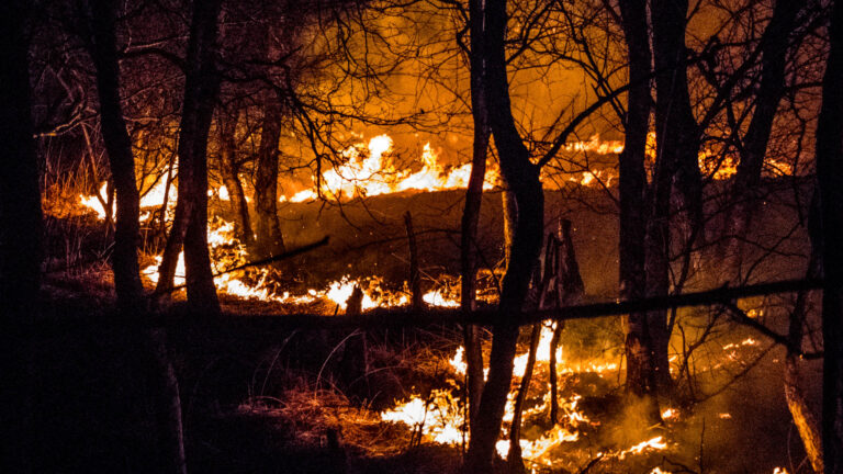 Staatsbosbeheer voorkomt uitbreiding veenbrand