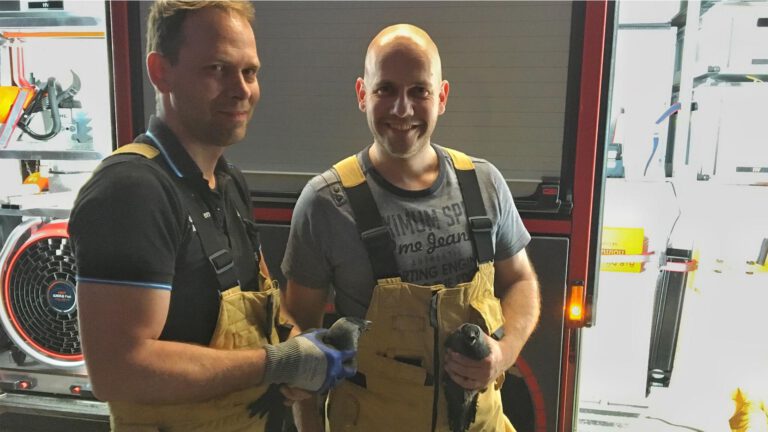 Kauwen gered uit rookkanaal