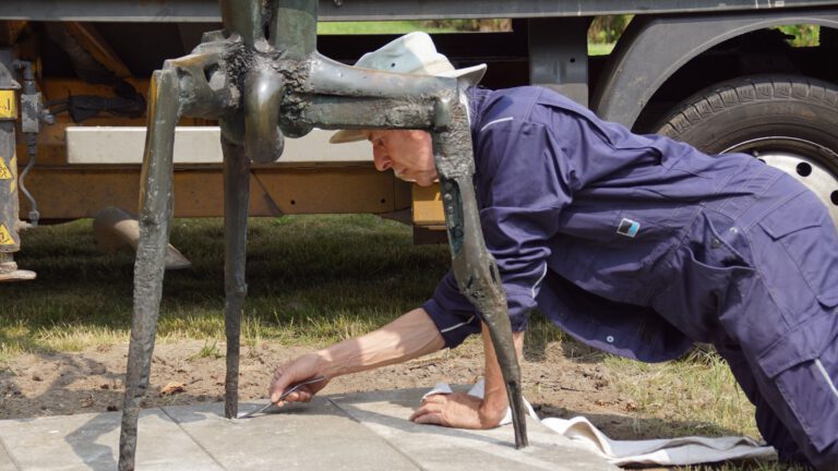 The Warrior of The Dark Ages wordt onthuld