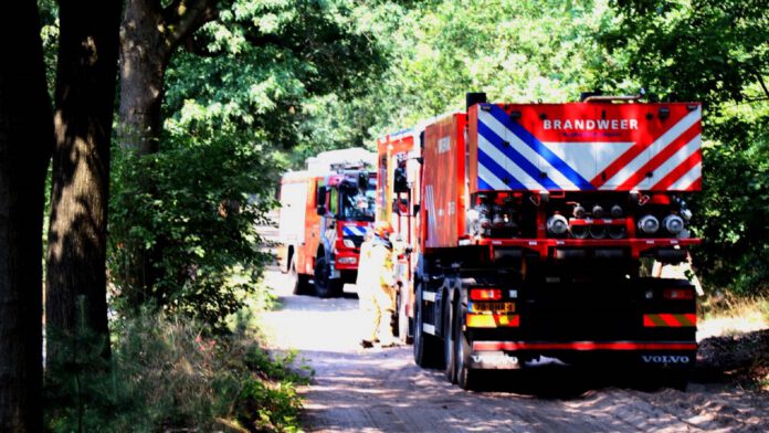 Bos brand in Vlierden door brandweer bedwongen