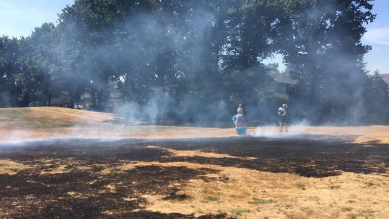 Brand op Rijn ook met emmers water geblust