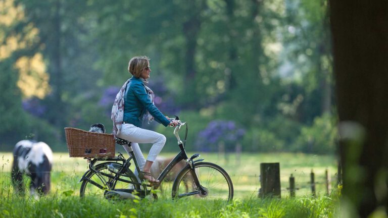 Ontdek de onvergetelijke groententuin