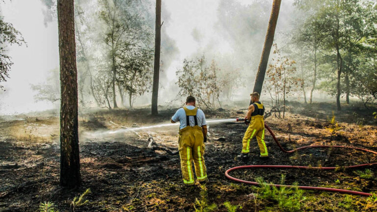 Vijfde bosbrand bij Rijntjesdijk