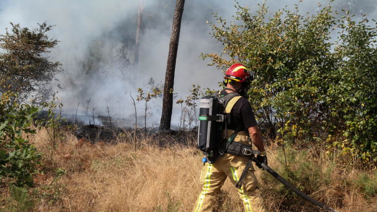Opnieuw bosbrand Rijntjesdijk