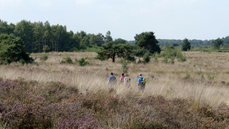 Gedeeltelijke afsluiting Peelvenen tijdens trekvogelseizoen