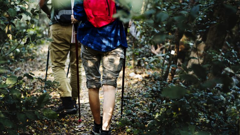 Cultuurparade realiseert nu ook wandelroutes in wijken Deurne