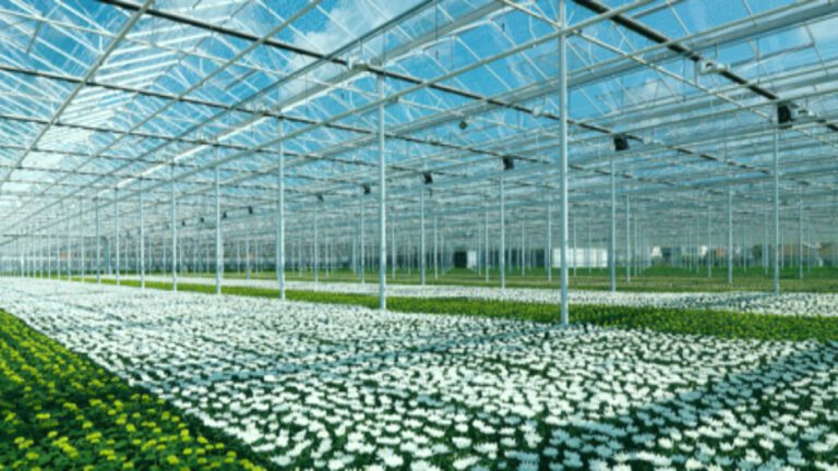 Gemeente Deurne ziet af van glastuinbouwproject