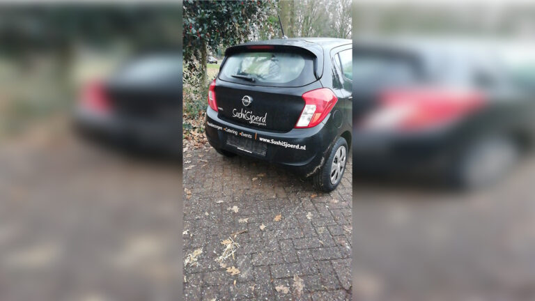 Kentekenplaten van auto’s gestolen