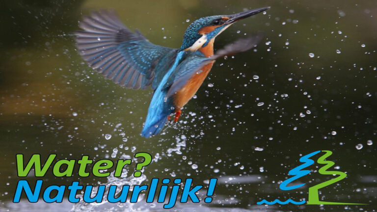 Kandidatenlijst Water Natuurlijk Aa en Maas bekend