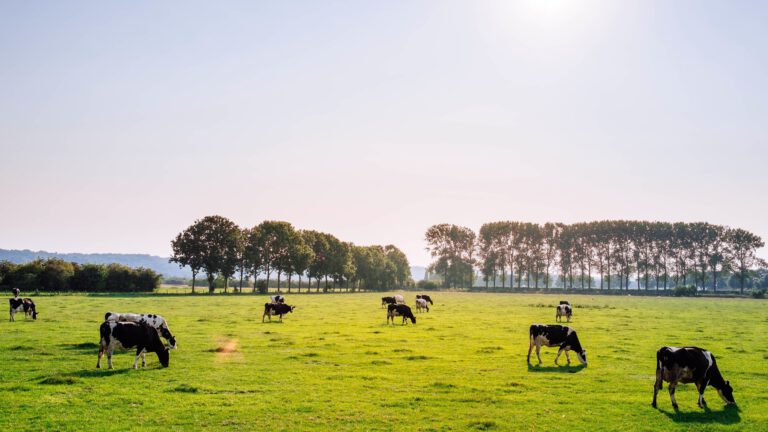 Informatiebijeenkomst ZLTO de Peel over kansen voor agrarische sector bij lokaal ondernemersfonds