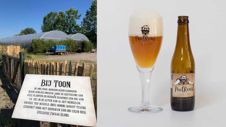 Deurnes bier in de race voor lekkerste van Brabant