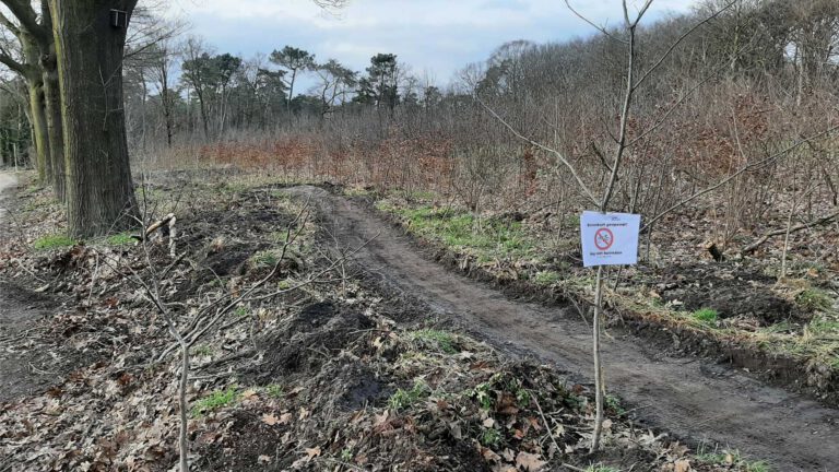 Sanne van Paassen bouwt eigen mountainbikeparcours in Vlierden