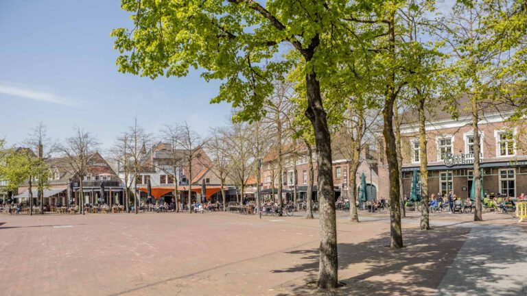 Bladluizen zorgen voor gladheid op Deurnese Markt