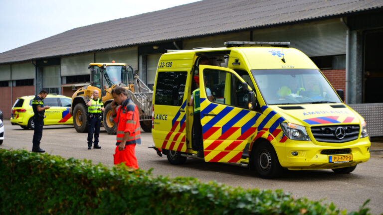 Man zwaargewond door verdrukking koe