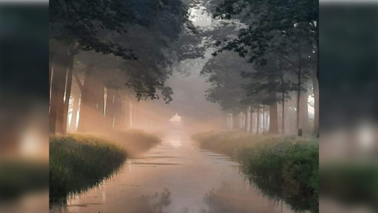 Aanvang herstel kades Helenavaart