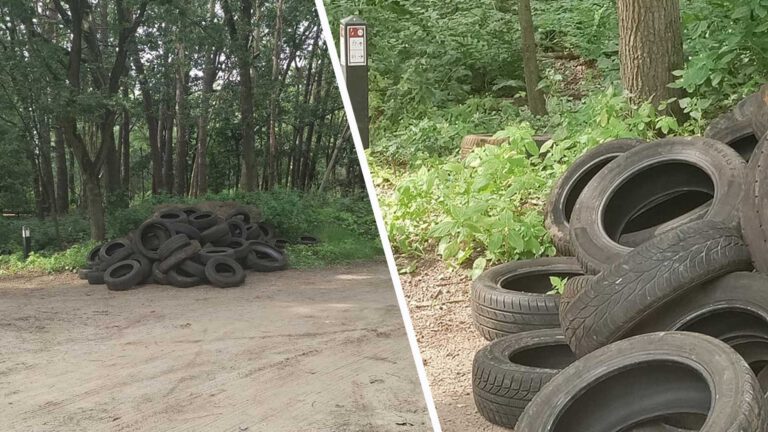 Grote partij autobanden gedumpt in bossen tussen Deurne en Liessel