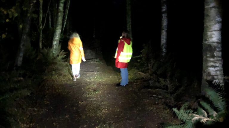 In het donker wandelen tijdens ‘Nacht van de Nacht’ bij Natuurpoort De Peel in Deurne
