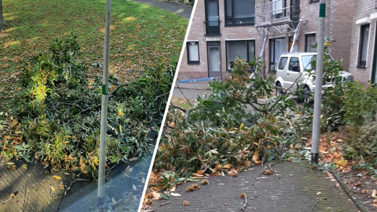 Harde wind zorgt voor overlast in regio; man in Deurne komt bijna onder grote tak terecht