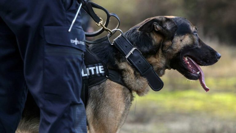Twee inbrekers aangehouden op industrieterrein Kranenmortel Deurne