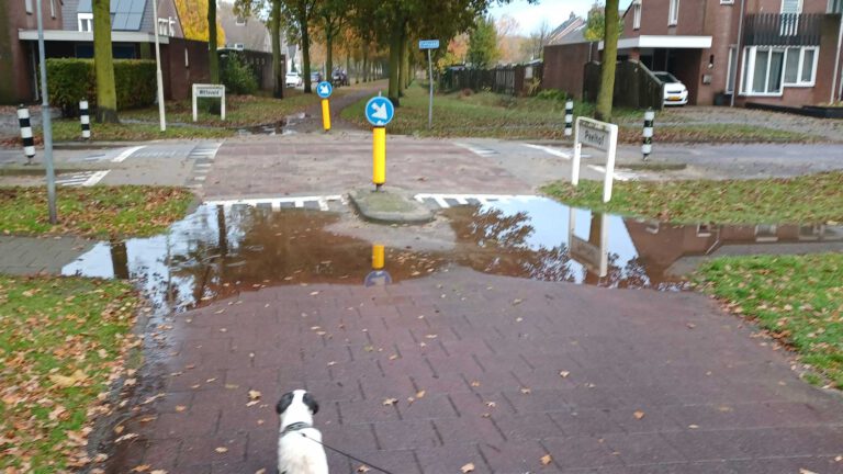 Nieuwe verkeersdrempel in Heiakker zorgt na elke bui voor waterballet