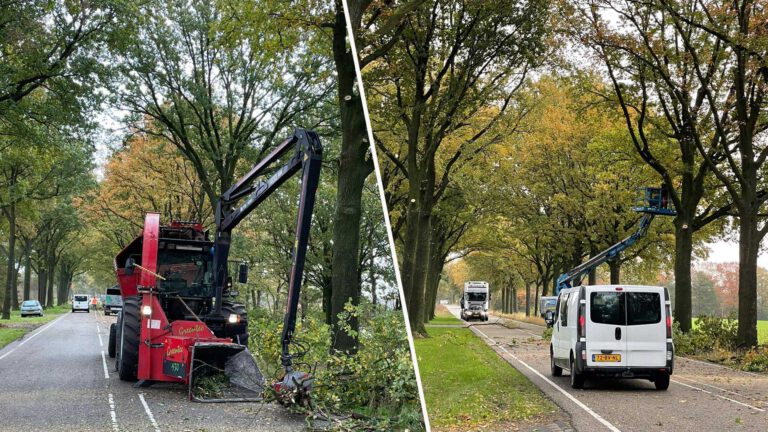 Gevaarlijke situaties bij snoeiwerkzaamheden Liessel; automobilisten negeren wegafsluiting