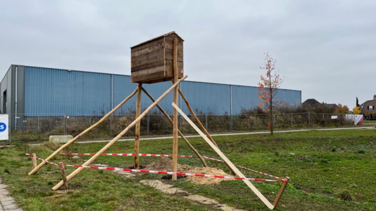 Sloop fabriekspanden Nies ligt nog steeds stil; vleermuiskasten geplaatst in omgeving
