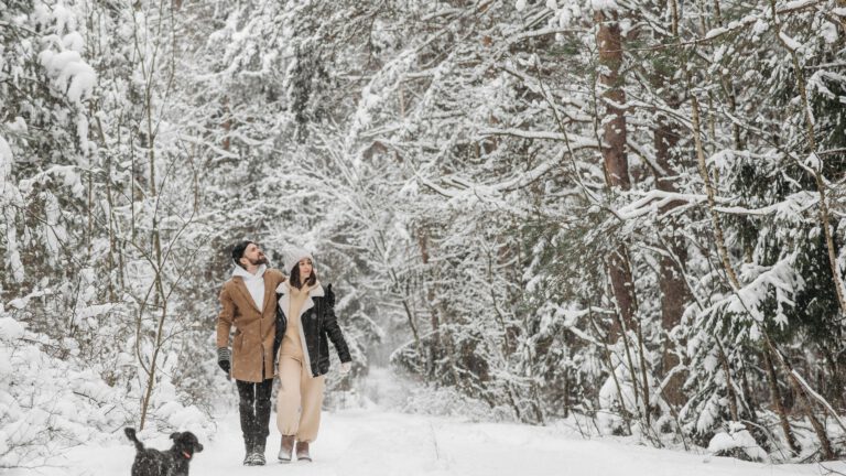 Beleef De Peel in kerstsfeer met decembermaand vol winterwandelingen