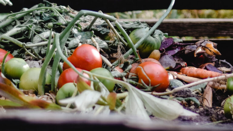 Compostfabriek in Deurne mag van provincie uitbreiden ondanks klachten omwonenden
