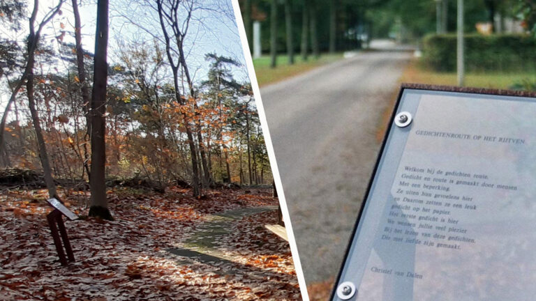 Gedichtendag beleven met wandelroute door bos bij Rijtven Deurne