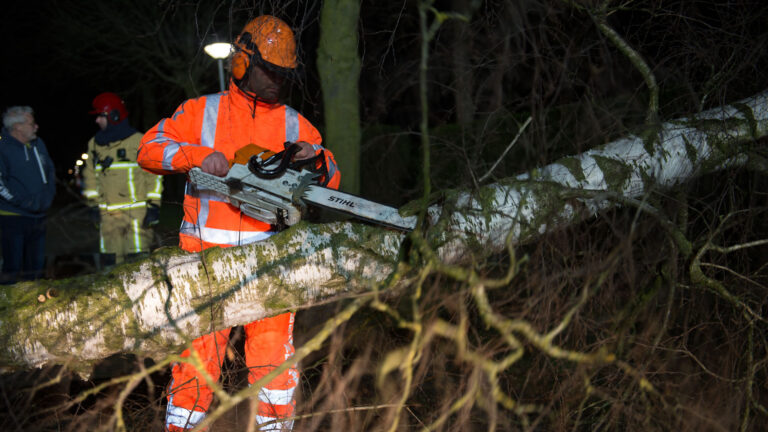 Diverse bomen in Deurne gesneuveld door storm