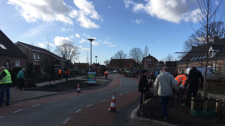 Het wordt weer groen in Vlierden; inwoners planten 24.000 beukenplantjes