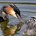 FUUT-Alex-en-Annette-Natuur