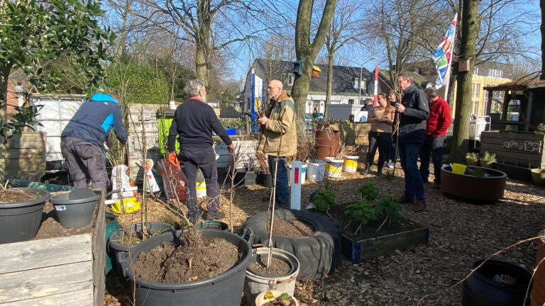 Belangstelling voor gratis groen erg groot in Deurne: ‘Alle bomen al weg’