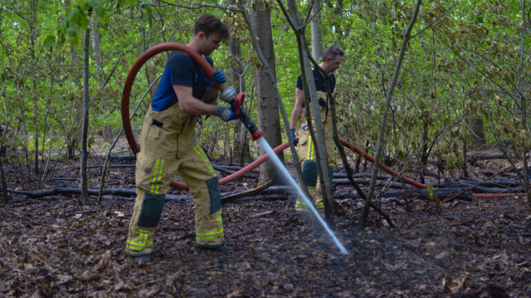 Brandweer weet bosbrand bij Liessel snel te blussen