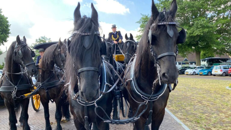 Feestelijkheden Deurne 1300 gestart; stoet met historische akte onderweg van Neerkant naar Deurne