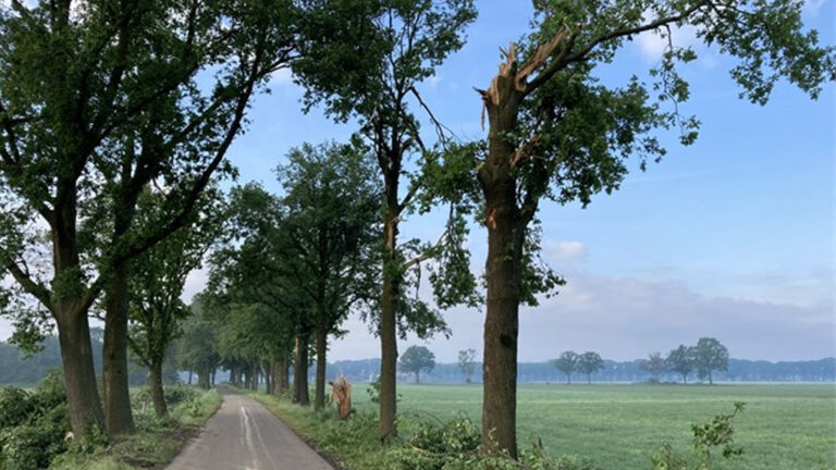 Voorspeld noodweer in regio Deurne blijft uit
