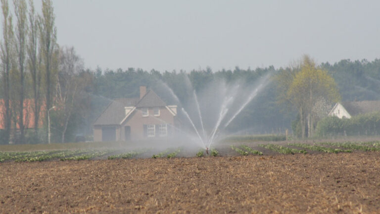 Grondwaterstand hersteld in Nederland; waterschap Aa en Maas handhaaft onttrekkingsverbod oppervlaktewater