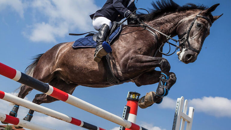 Deurne weer middelpunt van paardensportwereld met vier Nederlandse Kampioenschappen voor springruiters