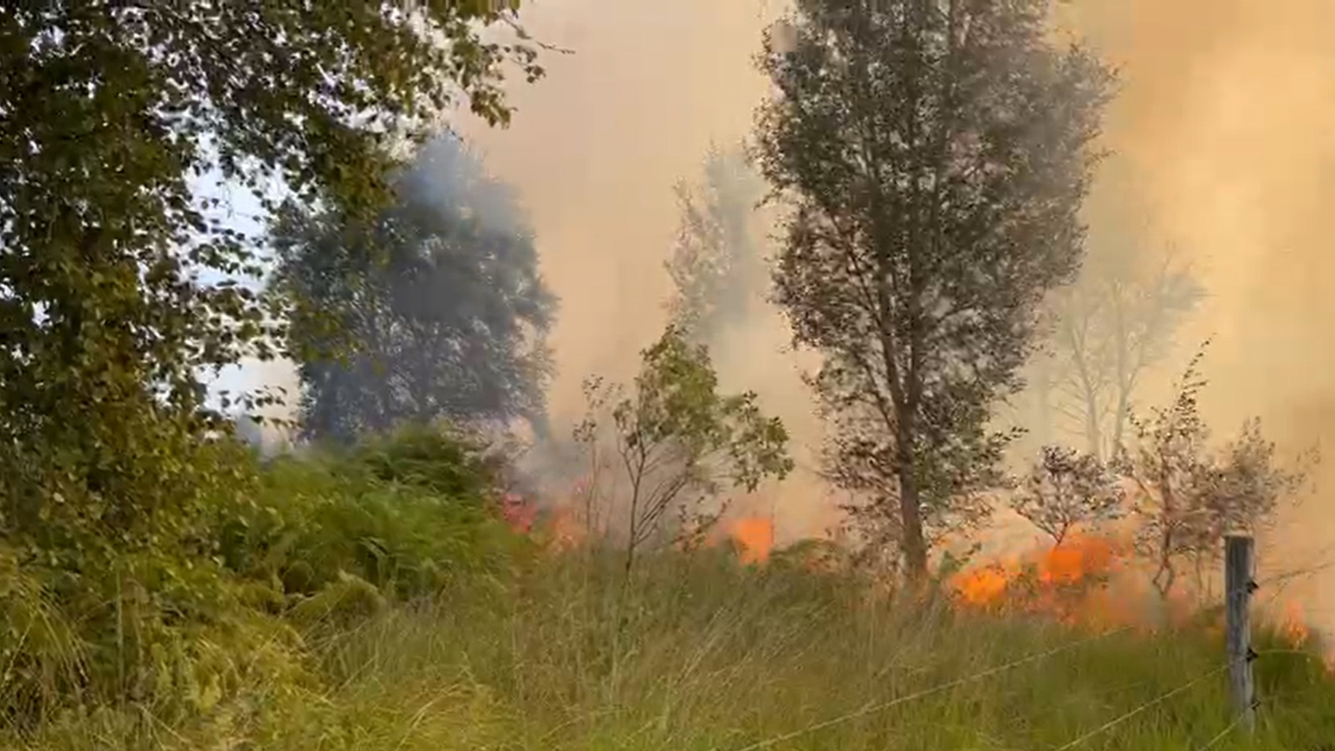 Veiligheidsregio: 'Blijf weg uit de Mariapeel'; kijkers bij grote natuurbrand Griendtsveen gesignale