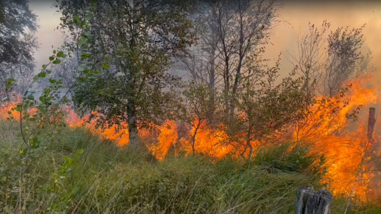 Onderzoekers verwachten toename onbeheersbare natuurbranden als in Mariapeel