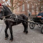 IJsfestijn_kindermiddag_18122022_foto_Josanne_van_der_Heijden-2521