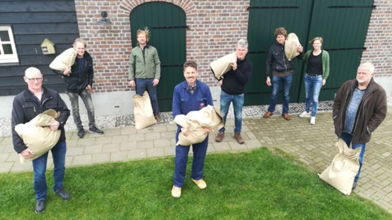 Lupineboeren uit de Peel bundelen krachten in LuPeel telersvereniging